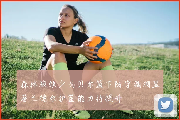 森林狼缺少戈贝尔篮下防守漏洞显著兰德尔护筐能力待提升