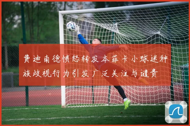 费迪南德愤怒转发本菲卡小球迷种族歧视行为引发广泛关注与谴责