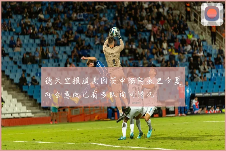 德天空报道美因茨中场阿米里今夏转会意向已有多队询问情况